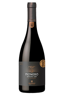Pionero